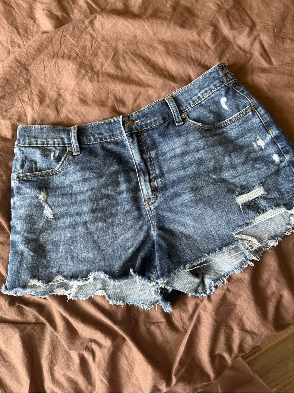 Aerie Denim Shorts